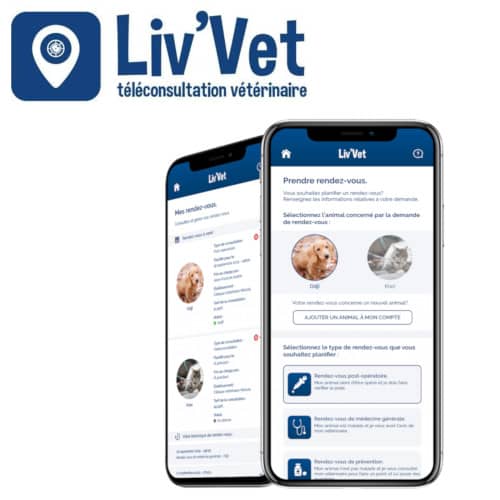 livvet