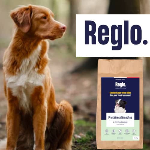 reglo
