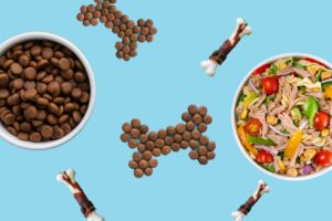 boite croquette alimentation chien