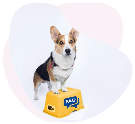 assurer son chien faq