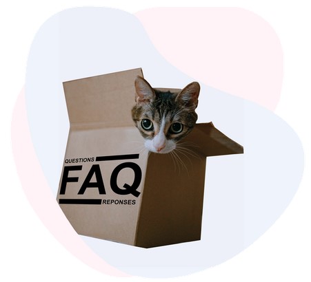 faq assurance chaton