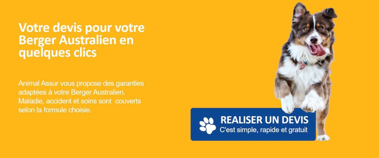 devis assurance berger australien