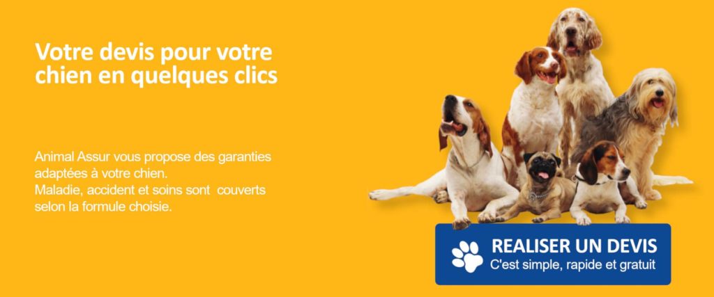 devis chiens assurance 1