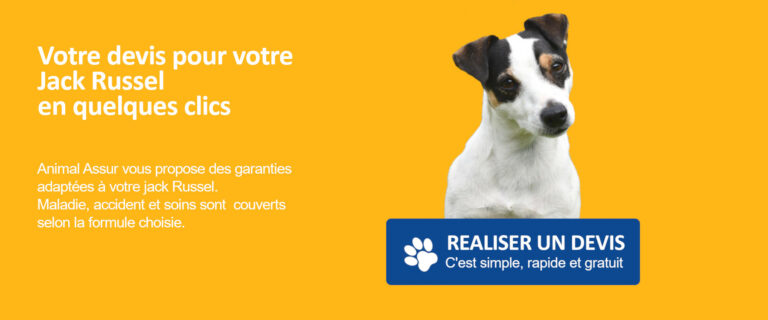 devis assurance jack russell