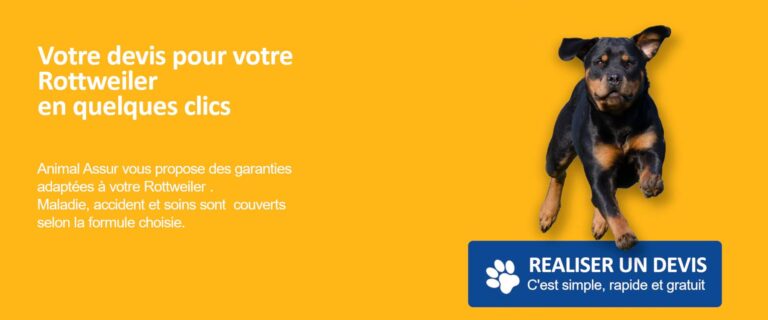 devis assurance rottweiler