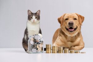 économie budget chien chat