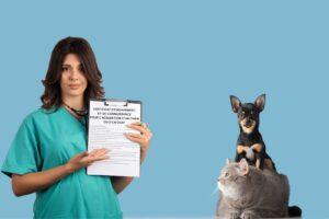 certificat engagement chien chat