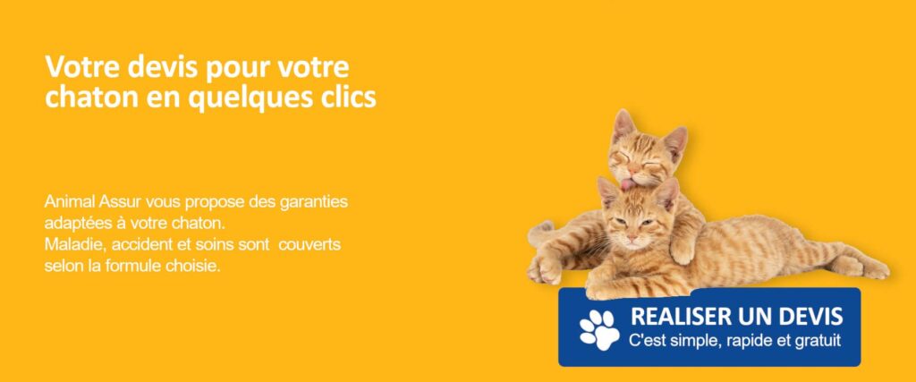 devis chaton assurance