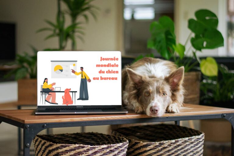 journée mondiale du chien au bureau