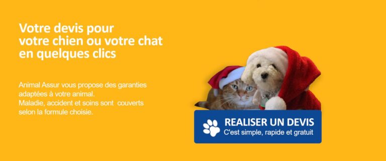devis chien chat assurance