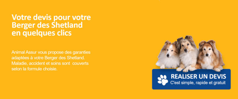 devis assurance berger des shetland