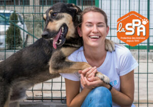 adopter chien chat spa