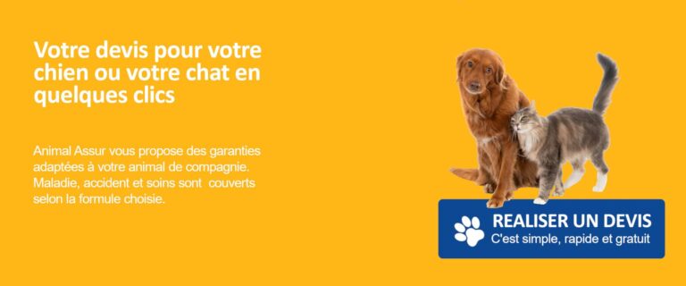 devis assurance chat chien