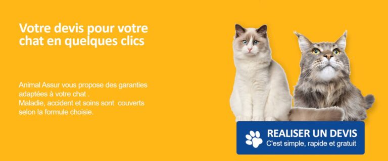 devis chat assurance santé