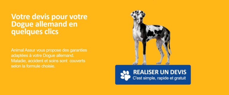 devis dogue allemand