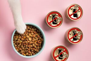 aliments toxiques chat