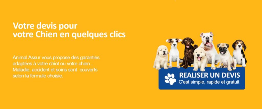 devis chiens assurance mutuelle