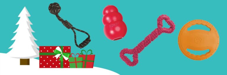 jouet pour chien noel