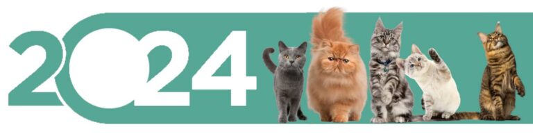 nom chat en v 2024