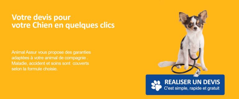 bilan santé chien assurance
