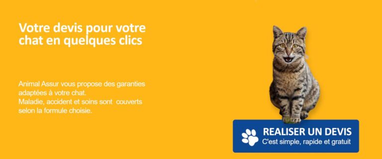 devis chat gouttière assurance