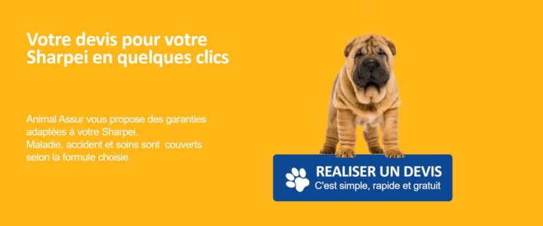 devis assurance sharpei