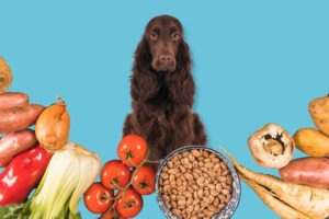 chien et légumes