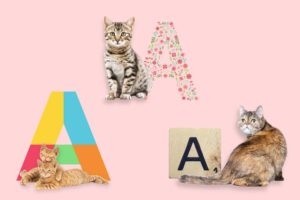 nom de chat en a 2025
