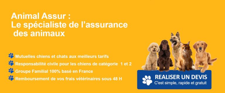 devis chiens chats assurance