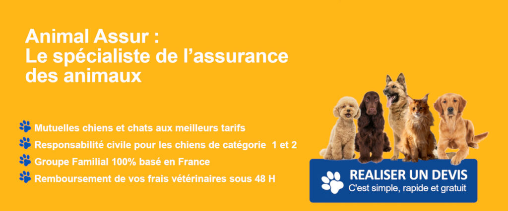 devis chiens chats assurance 2