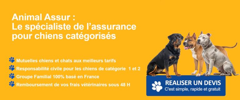 devis chiens cat 1 et 2 assurance