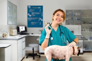 prix actes soins vétérinaires