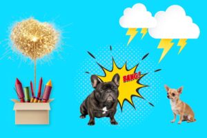 bruits et chien