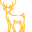 cerf