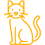chat adulte
