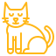 chat senior