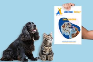 exclusions animal assurance
