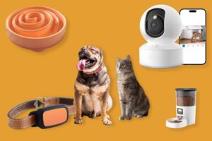 tech gadgets chien chat 2026