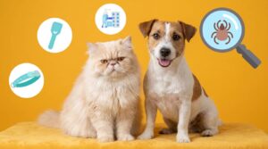 antiparasitaire chien chat