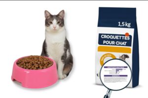 croquette chat composition