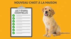 accueillir chiot les 7 étapes