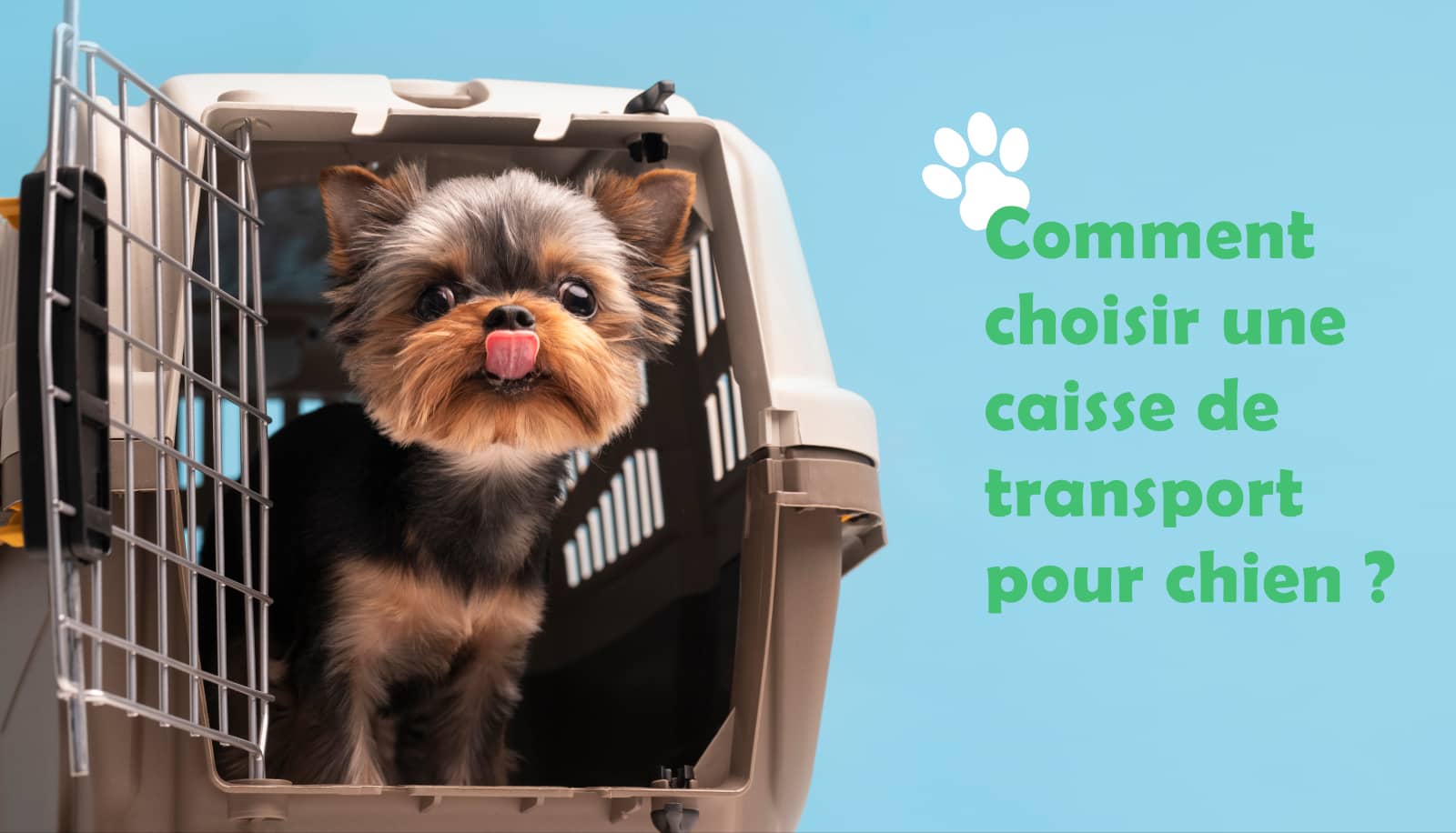 Choisir la Meilleure Caisse de Transport pour votre chien